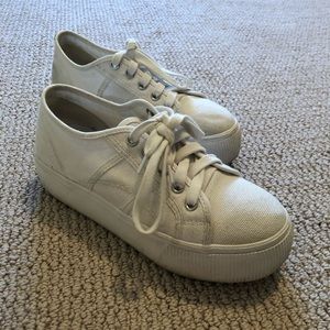 Steve Madden white canvas sneakers, size 6.5